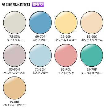 Amazon.co.jp: 屋外用 多目的用 水性塗料 55-70P ターコイズ